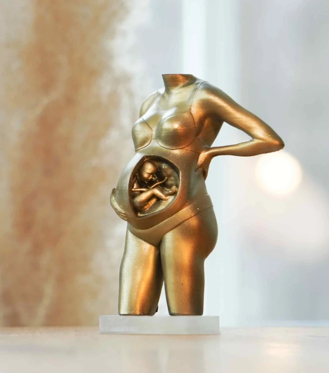 Zwangerschapsbeeld met zicht op baby in de buik. Dit is gerealiseerd op basis van een 3D echografie