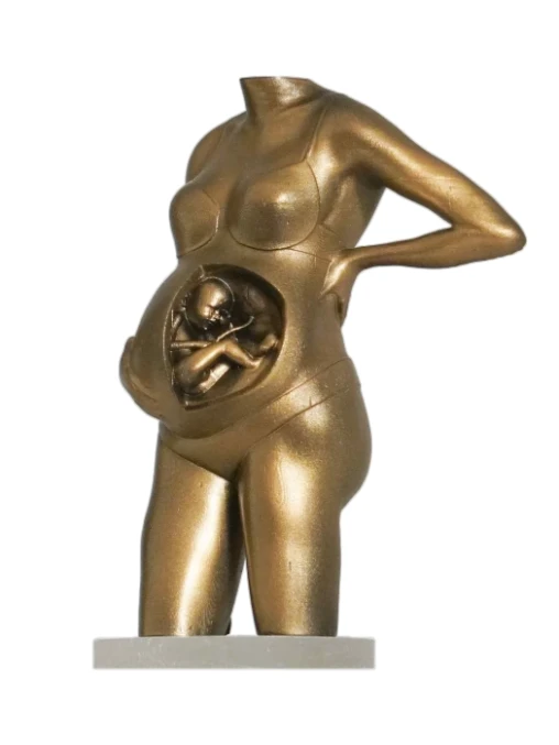 Zwangerschapsbeeldje met 3D echografie